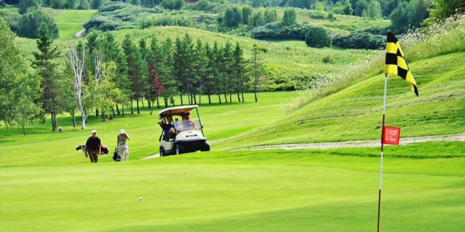 Golfing Image